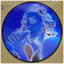 Madonna - Erotica 12" Picture Disc Media Maverick Recording Company Default Title