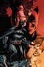 Batman Catwoman #05 Jim Lee & Scott Williams Var Comics - Back Issues DC Comics