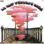 Velvet Underground - Loaded Media Analogue Productions Records Default Title