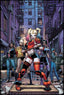 Harley Quinn & The Birds of Prey #02 Arthur Adams Var