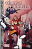 Transformers More Than Meets The Eye (2012) #38 Nick Roche "Subscription" Var Comics - Back Issues IDW