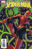 Amazing Spider-Man (2003) #524 Back Issues Marvel Comics Default Title