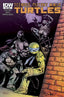 Teenage Mutant Ninja Turtles (2011) #033 Back Issues IDW Publishing Default Title  