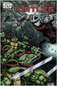 Teenage Mutant Ninja Turtles (2011) #035 1:10 Eastman & Laird Var Back Issues IDW Publishing Default Title