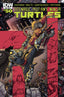 Teenage Mutant Ninja Turtles (2011) #050 Back Issues IDW Publishing Default Title