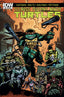 Teenage Mutant Ninja Turtles (2011) #053 Eastman Var Back Issues IDW Publishing Default Title