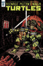 Teenage Mutant Ninja Turtles (2011) #057 1:10 Eastman Var Back Issues IDW Publishing Default Title