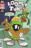 Looney Tunes (1994) #247 Back Issues DC Comics Default Title  