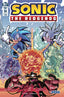 Sonic the Hedgehog (2018) #14 Gray Var Back Issues IDW Publishing Default Title