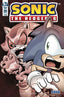 Sonic the Hedgehog (2018) #20 Back Issues IDW Publishing Default Title