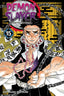 Demon Slayer Kimetsu No Yaiba GN 15 Manga Viz Media Default Title  