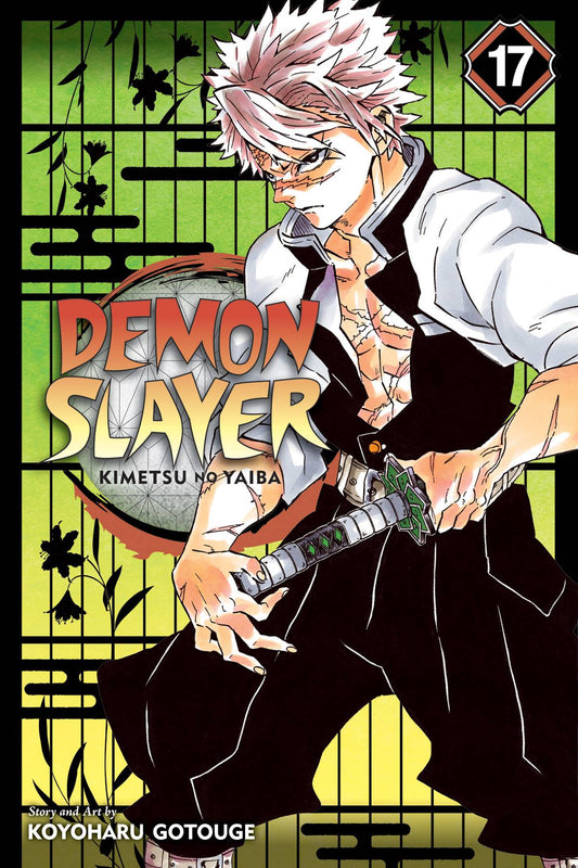 Demon Slayer Kimetsu No Yaiba GN 17