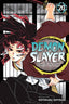 Demon Slayer Kimetsu No Yaiba GN 20