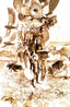 Dune House Atreides #05 1:50 Tocchini Var Comics - Back Issues Boom! Entertainment Default Title