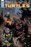 Teenage Mutant Ninja Turtles (2011) #130 Eastman Var Back Issues IDW Publishing Default Title