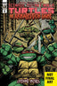 Teenage Mutant Ninja Turtles The Armageddon Game Opening Moves #01 1:10 Eastman Var Back Issues IDW Publishing Default Title  