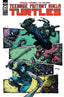 Teenage Mutant Ninja Turtles (2011) #137 Eastman Var Back Issues IDW Publishing Default Title