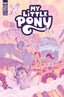 My Little Pony #13 Haines Var Back Issues IDW Publishing Default Title