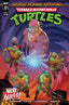 Teenage Mutant Ninja Turtles Saturday Morning Adventures (2023) #01 Schoening Var Comics - Back Issues IDW Default Title