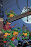 Teenage Mutant Ninja Turtles Saturday Morning Adventures (2023) #01 1:25 Dooney Var Comics - Back Issues IDW Default Title