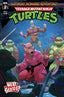 Teenage Mutant Ninja Turtles Saturday Morning Adventures (2023) #02 Schoening Var Comics - Back Issues IDW Default Title
