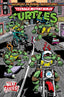 Teenage Mutant Ninja Turtles Saturday Morning Adventures (2023) #02 1:10 Lawson Var Comics - Back Issues IDW Default Title