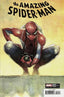 Amazing Spider-Man (2022) #28 1:50 Coipel Var
