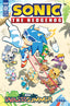 IDW Endless Summer Sonic the Hedgehog #01 Back Issues IDW Publishing Default Title