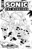 IDW Endless Summer Sonic the Hedgehog #01 1:10 Yardley Var Back Issues IDW Publishing Default Title