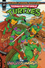 IDW Endless Summer Teenage Mutant Ninja Turtles Saturday Morning Adventures #01 Back Issues IDW Publishing Default Title