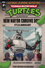 Teenage Mutant Ninja Turtles Saturday Morning Adventures (2023) #06 Schoening Var Comics - Back Issues IDW Default Title