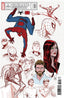 Ultimate Spider-Man (2024) #01 1:10 Checchetto Var Comics - Back Issues Marvel Comics Default Title