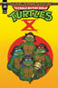 Teenage Mutant Ninja Turtles Saturday Morning Adventures (2023) #10 Comics - Back Issues IDW Default Title