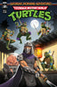 Teenage Mutant Ninja Turtles Saturday Morning Adventures (2023) #10 Ho Var Comics - Back Issues IDW Default Title