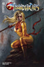 ThunderCats (2024) #02 Parrillo Var Comics - Back Issues Dynamite Entertainment Default Title