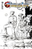 ThunderCats (2024) #02 1:15 Shalvey "Team" Var Comics - Back Issues Dynamite Entertainment Default Title