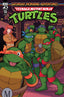 Teenage Mutant Ninja Turtles Saturday Morning Adventures (2023) #13 Rosanas Var Comics - Back Issues IDW Default Title