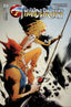 ThunderCats (2024) #04 Jae Lee & Chung Var Comics - Back Issues Dynamite Entertainment Default Title