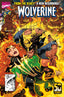 Wolverine (2024) #01 Kaare Andrews Var Comics - Back Issues Marvel Comics Default Title