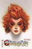 ThunderCats (2024) #05 Oliver Var Comics - Back Issues Dynamite Entertainment Default Title