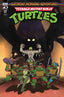 Teenage Mutant Ninja Turtles Saturday Morning Adventures (2023) #17 Fonseca Var Comics - Back Issues IDW Default Title