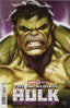 Incredible Hulk (2023) #18 Ryan Brown Var Comics - Back Issues MARVEL COMICS Default Title