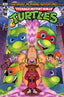 Teenage Mutant Ninja Turtles Saturday Morning Adventures (2023) #18 Rik Mack Var Comics - Back Issues IDW Default Title