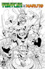 Teenage Mutant Ninja Turtles X Naruto #01 1:100 Jorge Jimenez "Sketch" Var Comics - Back Issues IDW