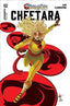 ThunderCats Cheetara #02 Haeser "Wonder Woman" Var Comics - Back Issues Dynamite Entertainment Default Title