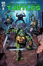 Teenage Mutant Ninja Turtles (2024) #05 1:50 Robertson Var Comics - Back Issues IDW Default Title