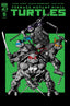 Teenage Mutant Ninja Turtles (2024) #05 Robertson Var Comics - Back Issues IDW Default Title