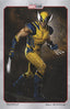 Wolverine (2024) #04 Ryan Meinerding Var Comics - Back Issues Marvel Comics Default Title