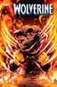 Wolverine (2024) #05 Godtail Var Comics - Back Issues Marvel Comics Default Title