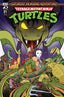 Teenage Mutant Ninja Turtles Saturday Morning Adventures (2023) #21 Pearce Var Comics - Back Issues IDW Default Title